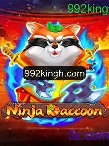 Explorando o Mundo de NinjaRaccoon: Descrição, Introdução e Regras